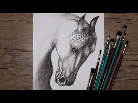 How to Draw a Horse Head with Pencils | Animal Drawing | Step by Step Sketch