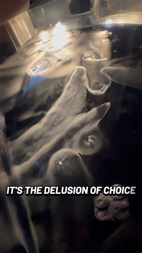 Ultimate Proof that We Are Living in a Simulation #igorkryan #simulationtheory #weliveinasimulation #simulationproof | Creator’s Riddle: Darwin vs. God | Facebook