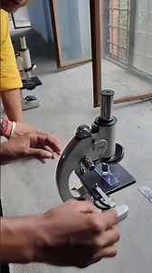 Human Cheek Cell under Microscope 🔬 #scienceexperiment #science