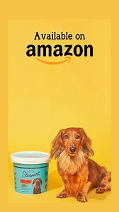 Shop Stewart on Amazon! | Stewart Pet