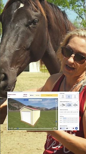 12X16 Lean To Loafing Shed For Animals