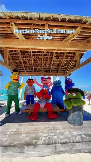 Sesame street beachesresorts in Turks and Caicos ❤️ #sesamestreet #beachesresorts