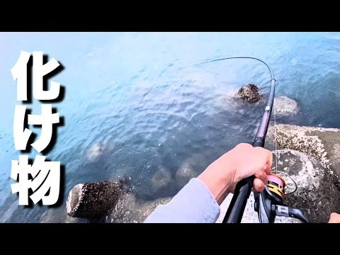 春の最盛期に衝撃の化け物来た！！