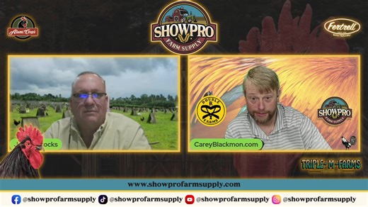 � LIVE TONIGHT – NO BS FEEDING Q&A � Too much confusion. Too many opinions. Not enough real answers. Tonight we’re cutting through the noise and talking REAL poultry nutrition — no brand hype, no backyard myths, no nonsense. � Protein vs amino acids � Supplements: needed or not? � Breeders vs layers vs growers � Winter feeding mistakes � What actually affects fertility & hatchability Bring your questions. We’ll bring the facts. � Tonight | 7 PM Central � LIVE Q&A � NO BS. Just feeding truth. #No