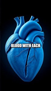 Hidden Sparks Behind Everyday Wonders