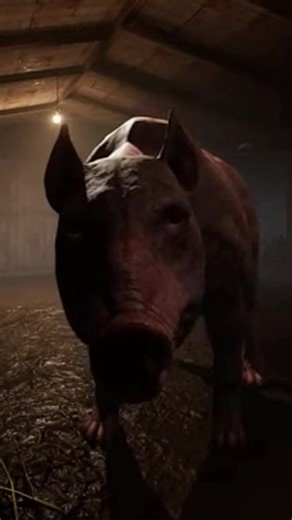 Explore Unexplainable Nature Mysteries