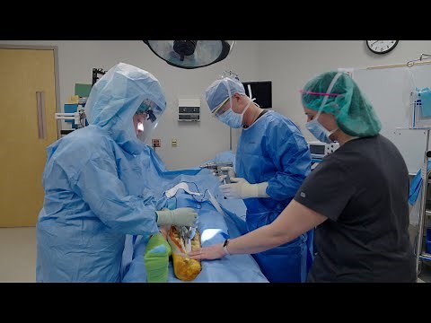 Surgical Technology - Chippewa Valley Technical College