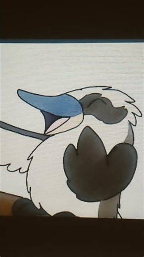 laughing kookaburra sfx (short version)