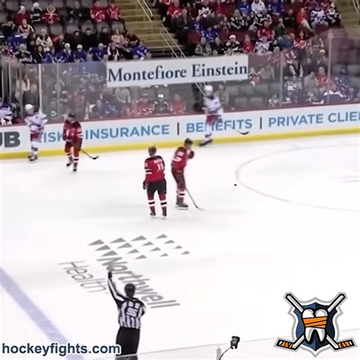185 reactions · 5 comments | hockeyfights.com on Reels | Facebook