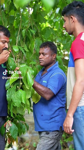 waka waka 😂😂 | waka song