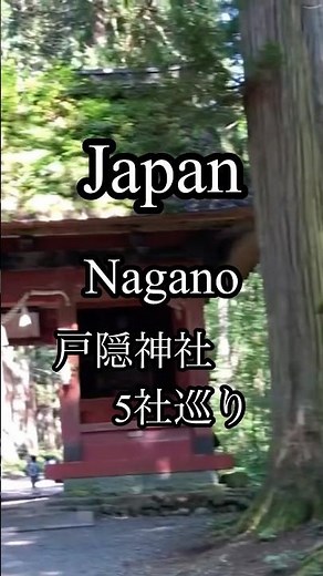 古いデータですが見てやってください🙏長野県 戸隠神社 5社巡り Japan Nagano Togakushi 5sya #japan #japantravel #旅行