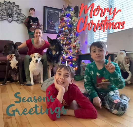 Merry Christmas & Season’s Greetings. From my crazy crew… to you Much love and many blessings for a happy and healthy holiday. Hope Santa Paws finds you all 🎄🎅❤️🫶✨🐾 | DOGMA Moncton