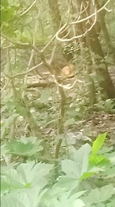 10 नवंबर 2025