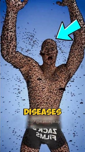 The World's Deadliest Animal Isn't What You Think!