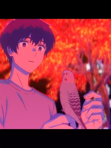 bta.anime.supporters على TikTok