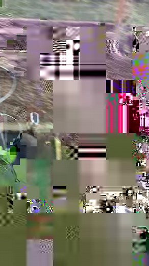 66K views · 1K reactions | Have you seen these cute plaques from Dollar Tree ?! #diy #trays #dollartreefinds | Chalk It Up Fancy | Facebook