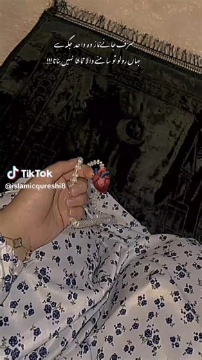 hum ap K ha kon (@banam674)’s videos with original sound - hum ap K ha kon