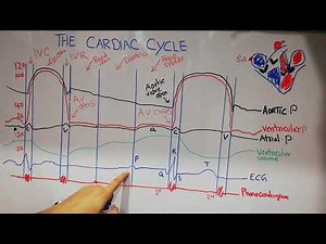 CVS physiology 9 | The cardiac cycle summary | Atrial waves | Ventricular pressure curve