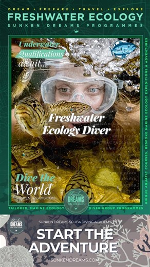 Sunken Dreams' Freshwater Ecology Specialty Diver