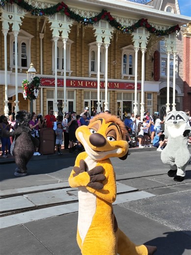 Timon's Heartwarming Air Hug at Magic Kingdom