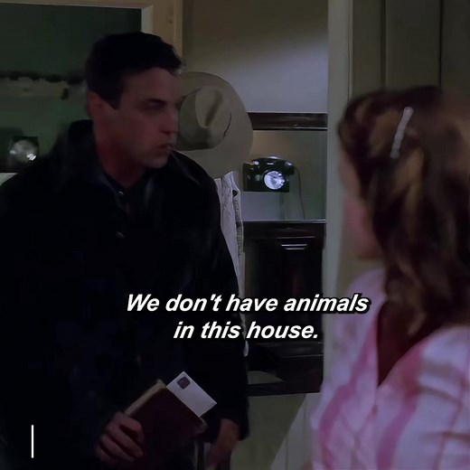 The Movie is Magic of Ordinary Days 🍿 | 𝑴𝒐𝒗𝒊𝒆 𝑹𝒆𝒄𝒂𝒑