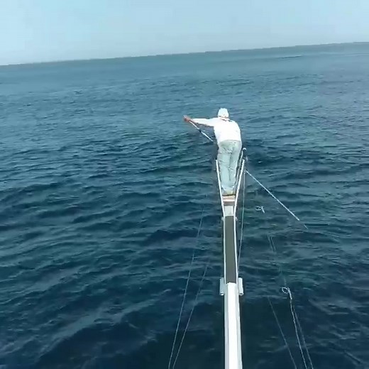 Harpooning giant blue fin tuna!#saveouroceans #foryoupage #fyp #fishing #