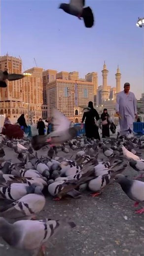 Harmain Sharif | Saudi Arabia 🇸🇦 | Part 1 | #shorts