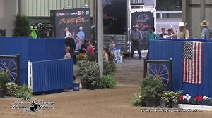 37K views · 1.2K reactions | Mr Royal Hollywood & Brian Bell placed 3rd last night in the NRBC Classic Open Level 4 Derby scoring a huge 226.5!! The duo won $30k This win brings “Royal’s” NRHA Lifetime Earnings over $100k  George & Carol Bell are the very proud owners of this talented stud Watch his replay! And be sure to listen to the crowd | Brian Bell Performance Horses | Facebook