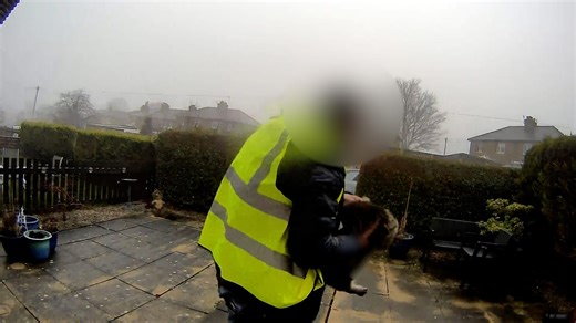 Amazon delivery driver caught 'stealing cat' from front door