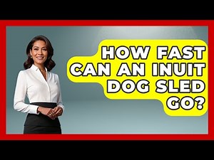 How Fast Can An Inuit Dog Sled Go? - Polar Regions Uncovered