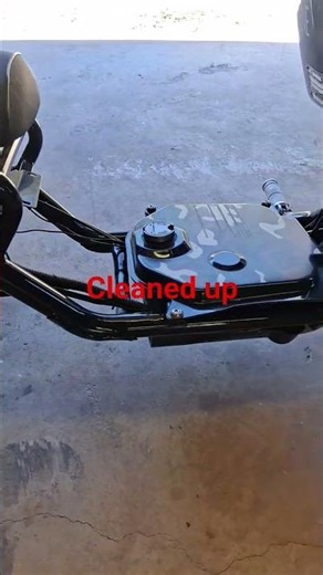 ice bear maddog scooter