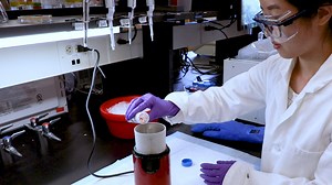 Production of Dynein and Kinesin Motor Ensembles on DNA Origami Nanostructures for Single Molecule Observation