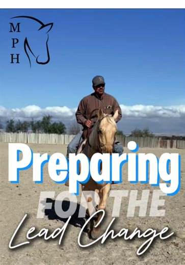 Preparing for the Lead Change Two Track, Hip Control and Counter Cantering Avoiding the Anxiety of the Maneuver #leadchange #reiner #horse #training #quarterhorse