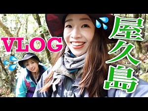 Yakushima Jomon Cedar Trekking was better than I expected...! [Travel VLOG]