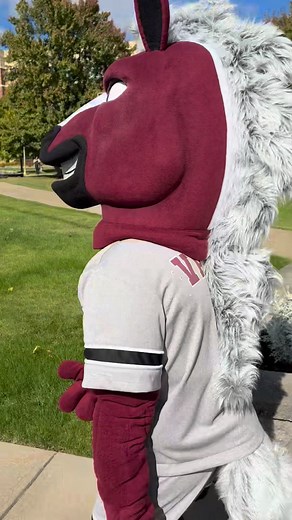 Meet Valor - Evangel's #1 fan, school spirit superstar, and part-time campus celebrity. | Evangel University