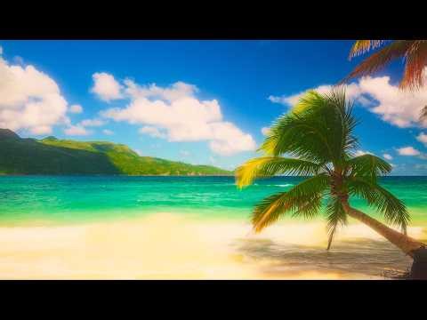 Tropical Island Sounds in 4K | Ocean Waves, Palm Trees & Dreamy Beach Ambience for Sleep - Ep 4