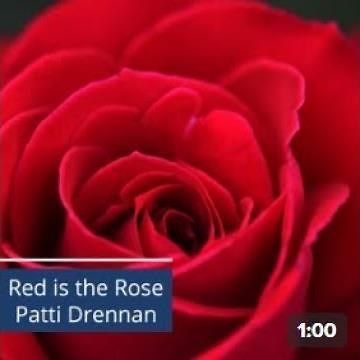Red is the Rose (BL854) by Patti Drennan