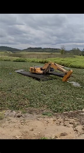 excavadora anfibia #tiktokusa #tiktokindia #anfibia #excavadora