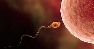 La pilule contraceptive pour homme, plus que jamais prête à débarquer selon les scientifiques