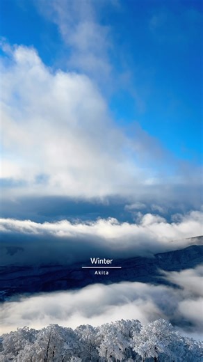 絶景ダッシュ| ISHIDA on Instagram: "日本の四季が素敵過ぎた The beauty of Japan, told through the changing seasons. 春の桜、夏の緑、秋の紅葉、冬の雪景色。季節ごとにまったく違う表情を見せてくれる日本の風景には、何度でも心を奪われる。 Location: Japan #japantravel #visitjapan #日本の絶景 #絶景"