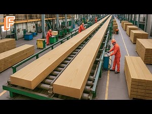 How Millions Of Pieces Of Lumber Are Made From Giant Logs Inside America’s Mega Mill