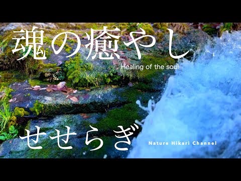 【日本の美しい自然】川のせせらぎ、木々のさざめき、神社