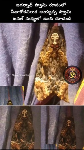 టవల్లో జగన్నాథ్ స్వామి సీతాకోకచిలుకలో ఉన్నాడు #jagannath #shiva #devotional #ayyappa #hindugod #god