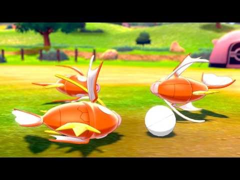 They said Magikarp was a useless Pokemon...