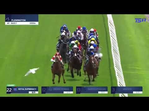 MELBOURNE CUP 2025 | HALF YOURS - JAMIE MELHAM