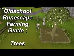 OSRS Ultimate Farming Guide - TREES Edition