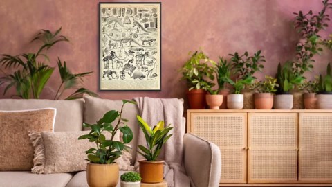 Dinosaur Fossil Poster Animal Bones Illustration Decor Vintage Style Illustration For Room Aesthetic Canvas dinosaur Wall Art And Prints Suitable For Home Wall Decor Office Bedroom 12x16in Unframe