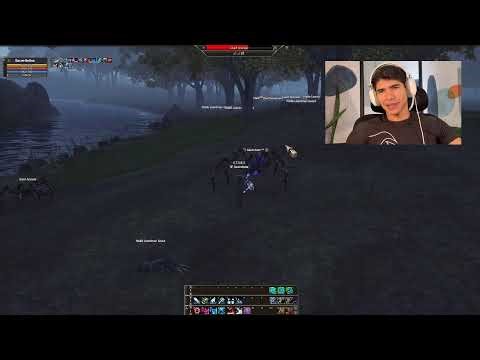 [🔴AO VIVO] Rumo ao Level 24 com a Sacerdotisa - LU4 GAMMA L2