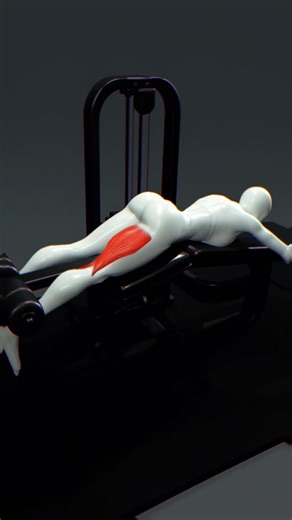 Squat Challenge on Instagram: "How Toe Position Changes Hamstring Activation 👉 Download @fitonomyapp — link in bio. Feel your hamstrings work like never before! Focus on controlled movements to activate every part of the muscle and get the most out of your leg workout. #hamstringworkout #legday #homeworkout #strengthtraining #fitnessguide #workouttips #fitonomyapp #legworkout #muscleactivation #hamstrings"