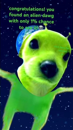 alien dawg found🥳